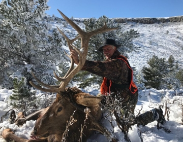 Sns Outfitters Bull Elk Wyoming 2019 7